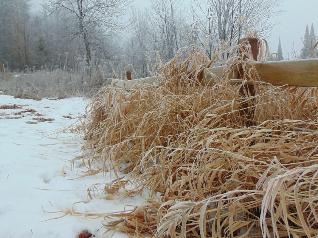 Dr. Christy Oslund:&nbsp;Introduction